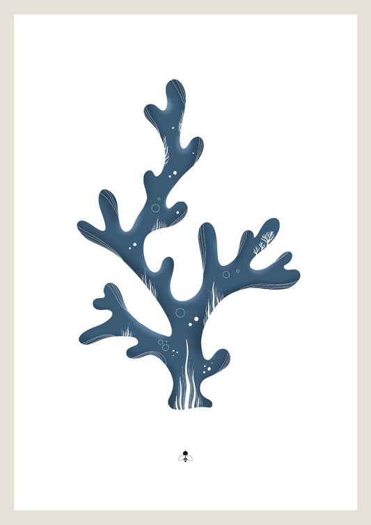 Affiche « Corail »