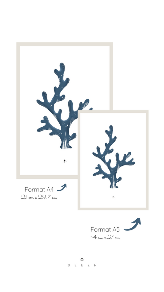 Affiche « Corail »